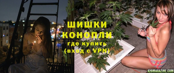 дживик Алексеевка
