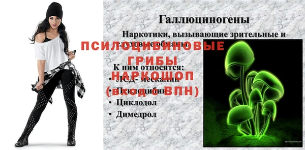 дживик Алексеевка